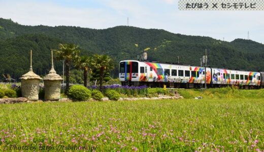 愛媛県の鉄道撮影地8選！伊予鉄/予讃/予土の列車