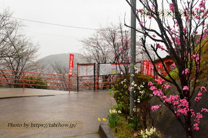 御館山稲荷神社の桃
