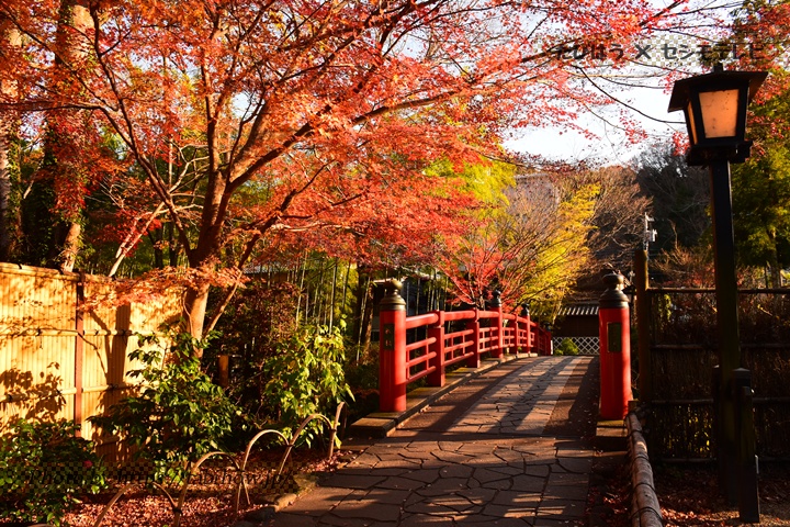 東海の温泉地