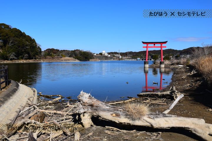亀山湖畔公園 月毛地区