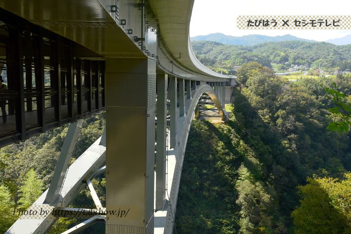 天竜峡大橋 下村広場から見る橋