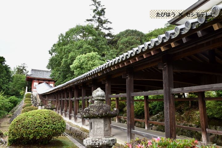 吉備津神社 廻廊