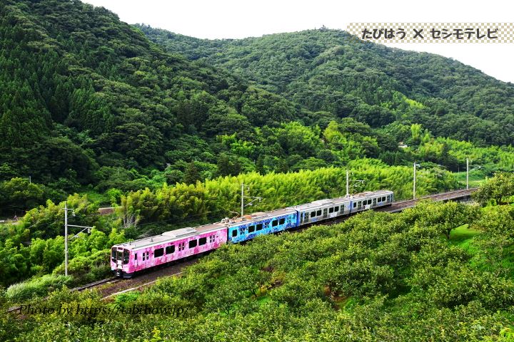 福島県の鉄道撮影地
