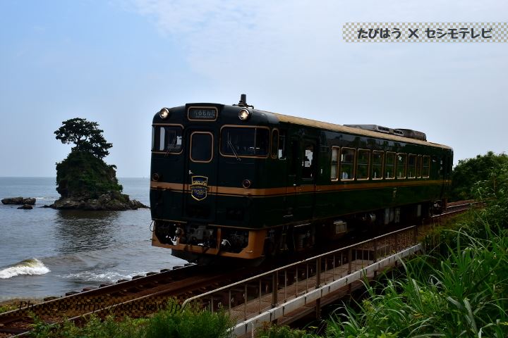 北陸地方の観光列車15選！べるもんた等の電車特集 – たびはう