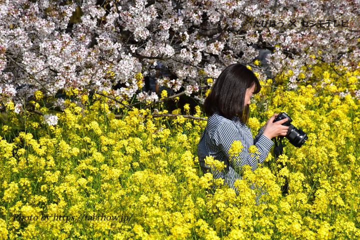 あらゆる撮影ジャンルで適切な絞り Iso感度 露出を徹底解説 たびはう