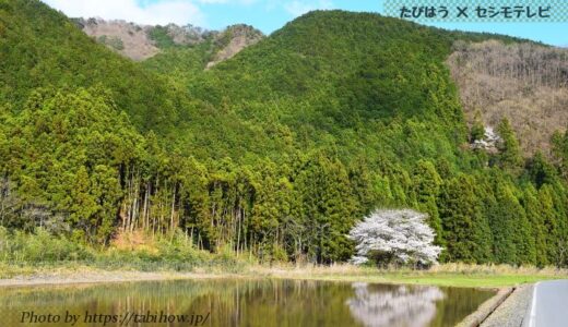 栃木県で大浴場付の格安宿4軒！人気ホテルと温泉旅館