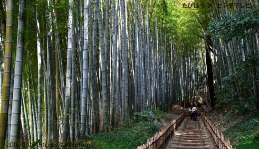 千葉県インスタ映え絶景スポット16選！自然景勝地写真