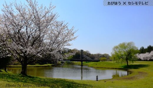 茨城県インスタ映え絶景スポット15選！自然景勝地写真
