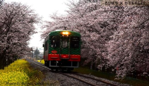 栃木県の鉄道撮影地6選！日光/烏山/真岡の列車