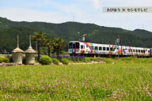 愛媛県の鉄道11路線と撮影地8選！JRと伊予鉄の名所