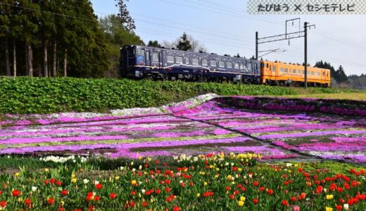 北海道南の鉄道撮影地12選！いさりび/函館の列車