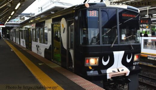 関東地方の観光列車7種類！JRとローカルの豪華電車旅