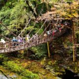 徳島県インスタ映え絶景スポット21選！自然景勝地写真
