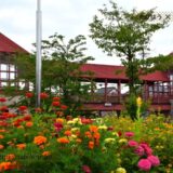 富山県の花畑40品種97名所！春夏秋冬の見頃
