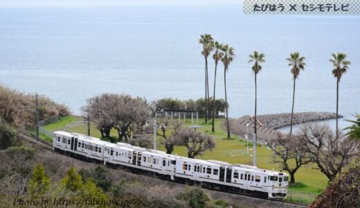 佐賀県の鉄道撮影地4選！佐世保/甘木の列車