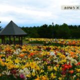 山形県の花畑38品種93名所！春夏秋冬の見頃