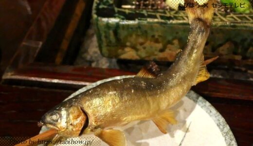 岐阜県ご当地グルメ31種類を解説！飛騨/高山/美濃/全域のB級食べ物