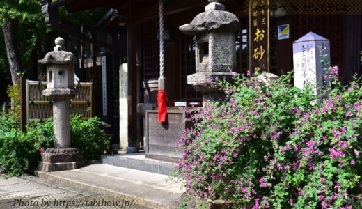大阪府の花畑42品種147名所！春夏秋冬の見頃
