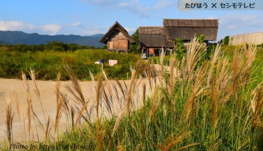 佐賀県の花畑34品種77名所！春夏秋冬の見頃