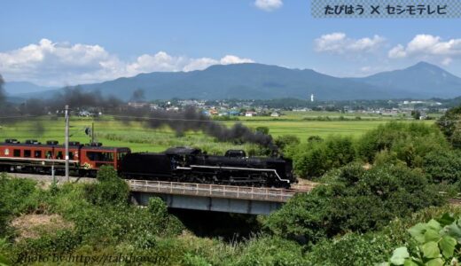 全国で定期運行中のSL蒸気機関車12路線！運行情報を紹介