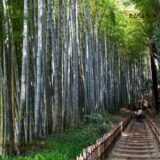 千葉県インスタ映え絶景スポット18選！自然景勝地写真