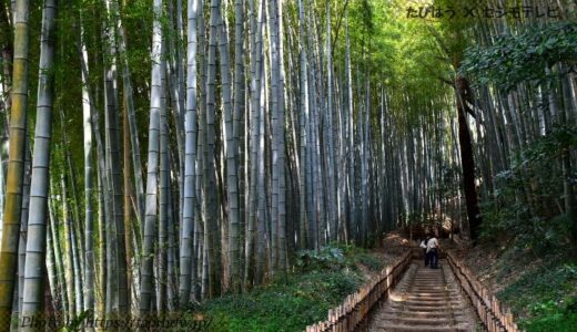 千葉県インスタ映え絶景スポット18選！自然景勝地写真