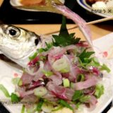 静岡県ご当地グルメ33種類を解説！伊豆/富士/浜松/全域のB級食べ物
